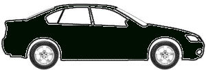 Fathom Green Poly touch up paint for 1969 Buick All Models