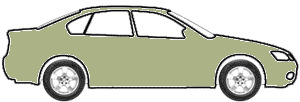 Lakemist Green touch up paint for 1975 Pontiac All Models