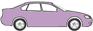 Lilac Metallic touch up paint for 2016 Fleetwood Motorhome