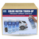 WA294F/WA293F/GFM/GEJ Jinx Tricoat Touch-Up Paint for Chevrolet ...