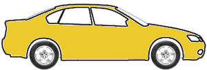 Corvette Yellow touch up paint for 1980 Chevrolet Corvette