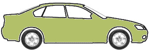 Gecko Green Pearl touch up paint for 2008 Volvo C30