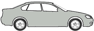 Light Gray  touch up paint for 2002 Ford Police Car