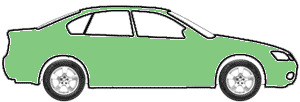 Light Green Poly touch up paint for 1975 Mercury Capri