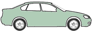 Medium Green Poly touch up paint for 1977 Buick All Models
