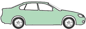 Riviera Silver Green Poly touch up paint for 1966 Buick All Models