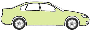 Yellowish Green (Single Stage) touch up paint for 1966 Fleet Basecoat