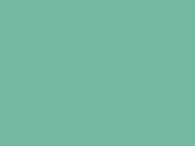 Emerald turquoise best sale color