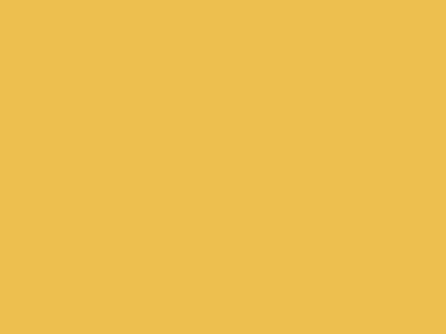 Solar Yellow YH/VYH/2719 Touch Up Paint for 2005 Jeep Wrangler -  