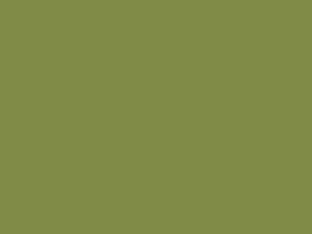Willow Green Opal Mica 34w Touch Up Paint For 2005 Subaru Legacy Willow Green Opal Mica 34w Touch Up Paint For 2005 Subaru Legacy Paintscratch