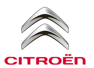 Touch up paint for 2010 Citroen.