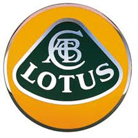 Touch up paint for 1968 Lotus.