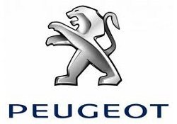 Touch up paint for 2009 Peugeot.