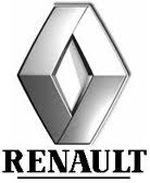 Touch up paint for 1980 Renault.