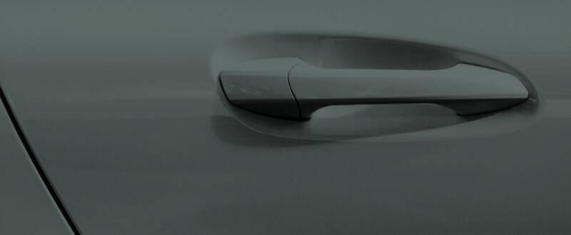 Area 51 touch up paint for Ford