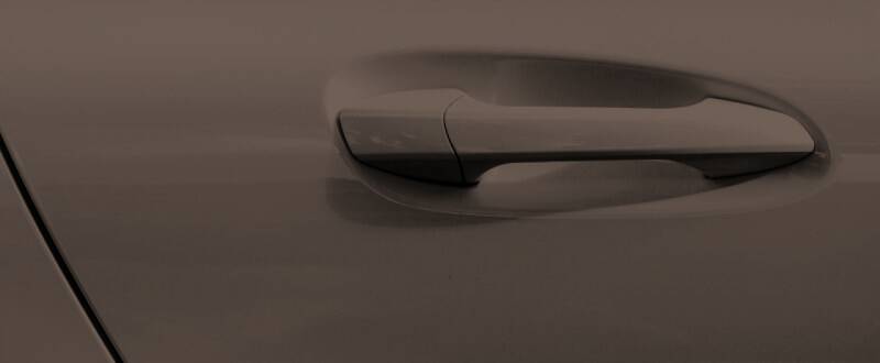 Bariloche Brown touch up paint for Genesis