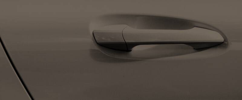Brooklyn Brown touch up paint for Genesis