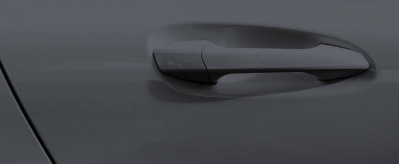 Canna di Fucile Metallic touch up paint for Ferrari