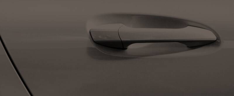 Citrin Black Pearl touch up paint for BMW