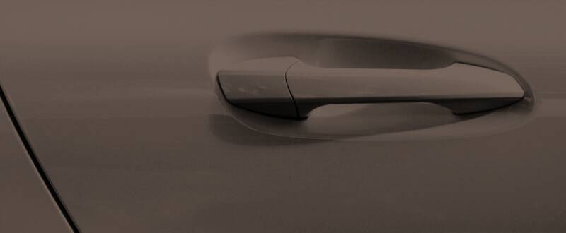 Dark Brown Metallic touch up paint for AMC