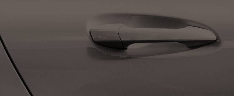 Dark Chestnut Metallic touch up paint for Ford