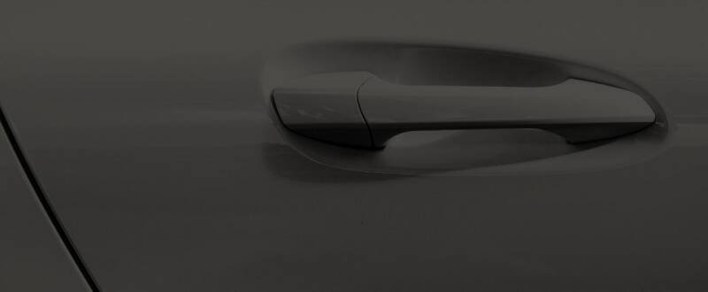 Ebony (cladding) touch up paint for Lincoln