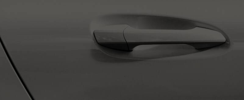 Ebony (cladding) touch up paint for Lincoln