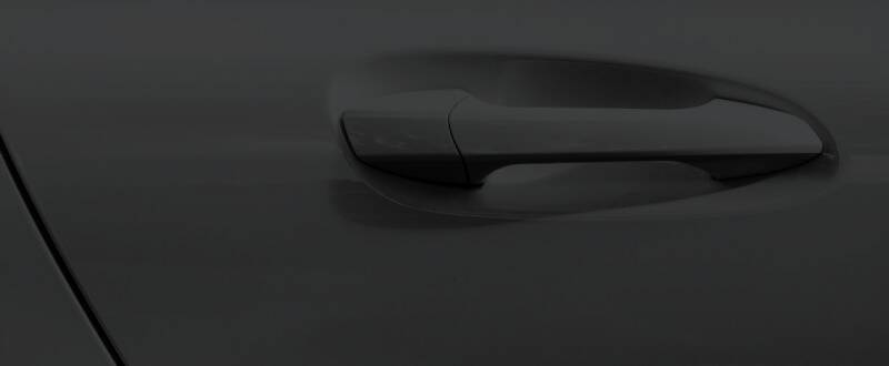 Shadow Black touch up paint for Ford