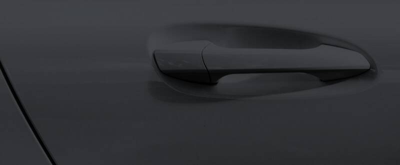 Shadow Black touch up paint for Ford