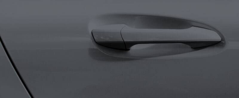 Sonic Carbon touch up paint for Tesla