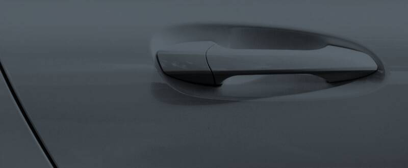 Squid Ink touch up paint for Dodge