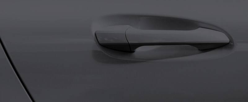 Squid Ink touch up paint for Ford