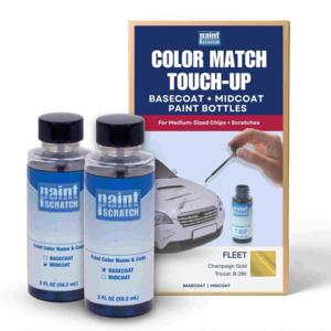 Image of Champaign Gold Tricoat B-390 for Fleet