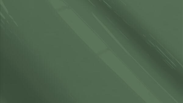 Orient Green (matt) Pearl Metallic