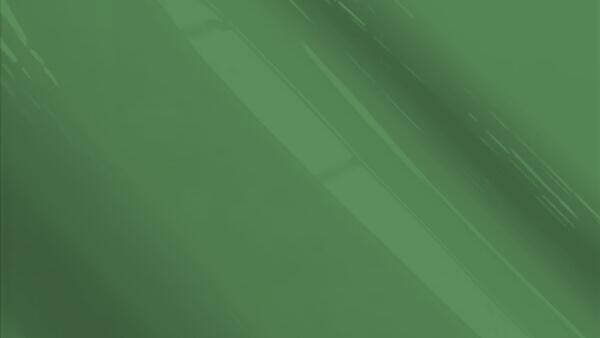 Tara Green Metallic