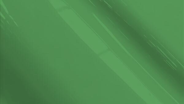 Light Spruce Metallic
