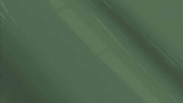 Dark (Pinehurst) Green Juniper