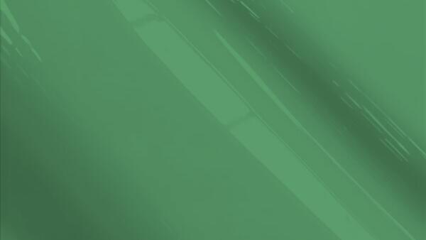 Green Velvet Poly