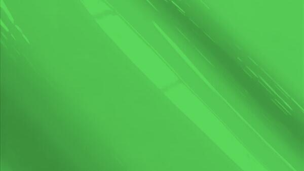 Rallye Green Poly