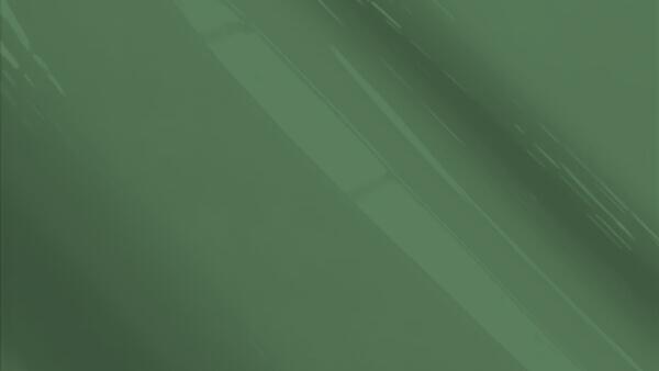 Kiwigruen Metallic (Trim)