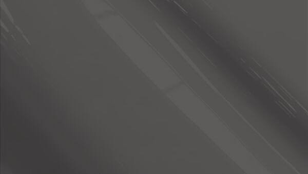 Medium Platinum Metallic  (cladding)