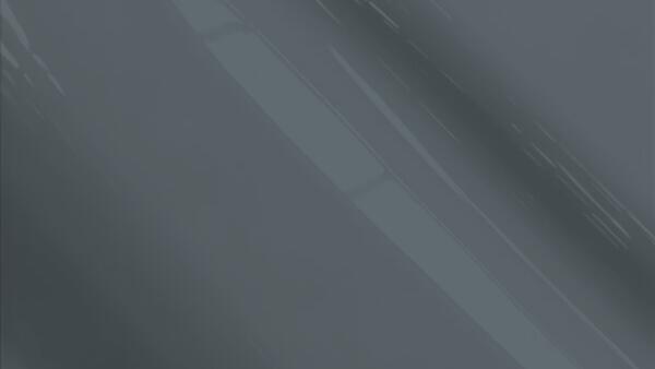 Charcoal Gray Poly
