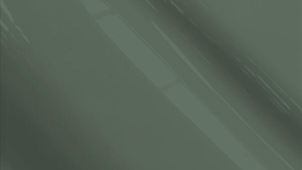Phantom Gray Metallic