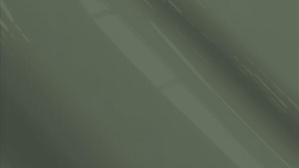 Dark Cry. Green (Interior)