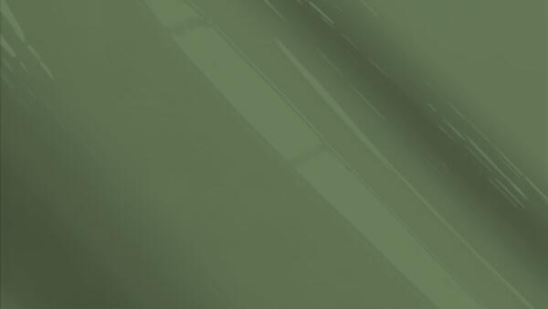 Olive Mist Poly