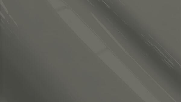 Dk. Ash Gray (Interior)