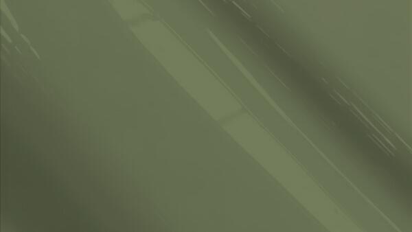 Dark Olive (Catalyzed Spray Can Only)