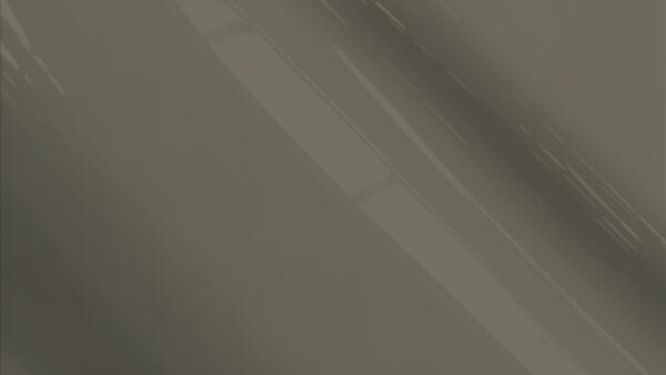 Dark Otter Grey Effect