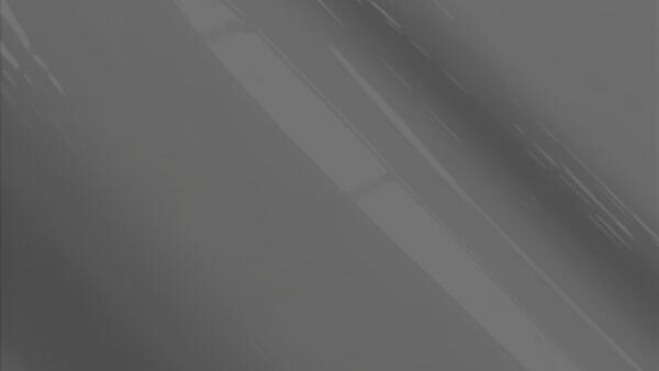 Smoked Gray Metallic