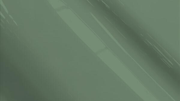 Gray Mica Pearl Metallic